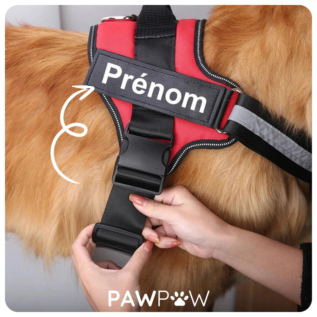 PawPop™ - Harnais Prénom Anti Traction pour Chien